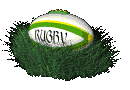 a gif of a white and green rugby ball in a patch of grass, rocking slightly back and forth