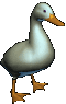 a gif of a 3d modelled duck wobbling back and forth