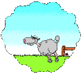 a looping gif of a gray sheep in a cloud-shaped bubble with a half blue, half green background, continuously jumping over a fence